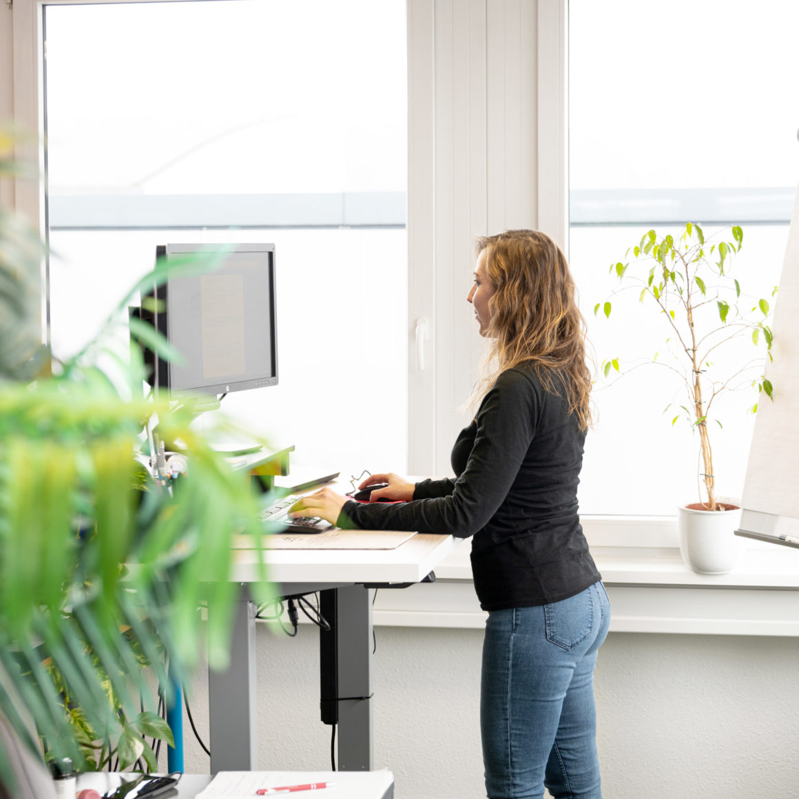 TMS Pro Shop Content Büro