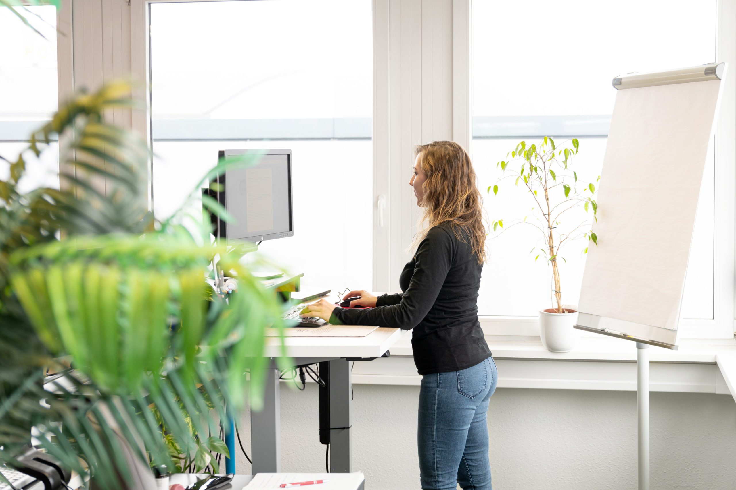 TMS Pro Shop Content Büro